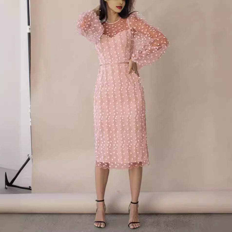 Europe and America Cross Border Independent Station Amazon New Lady Temperamental Embroidery Transparent Mesh Dress Fashion Long Skirt
