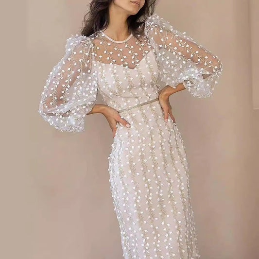 Europe and America Cross Border Independent Station Amazon New Lady Temperamental Embroidery Transparent Mesh Dress Fashion Long Skirt