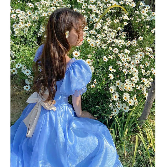 French Princess Vintage First Love Skirt Niche Women's Clothing 2024 New Blue Color Spring Dress Gentle