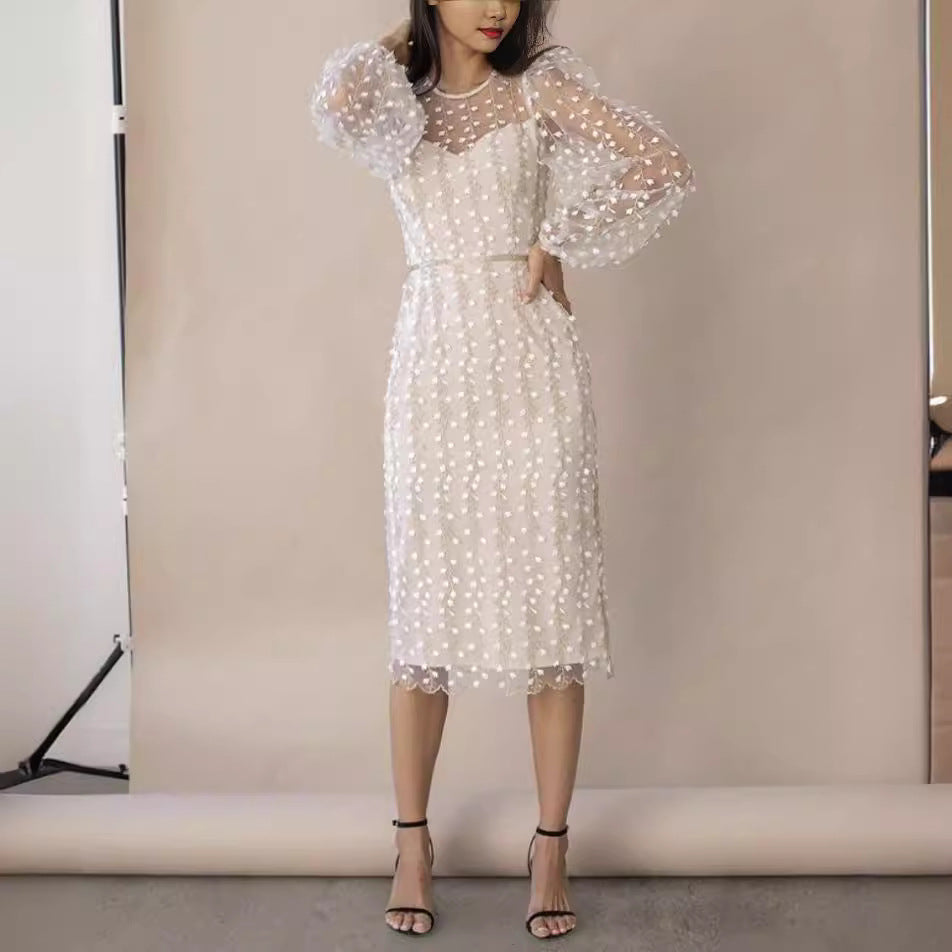 Europe and America Cross Border Independent Station Amazon New Lady Temperamental Embroidery Transparent Mesh Dress Fashion Long Skirt